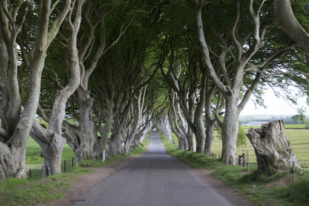 Bregagh Road Juego De Tronos