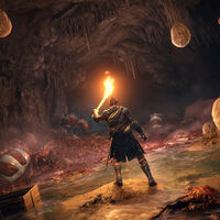 Esperaba encontrar un bello jardín en esta ubicación de Elden Ring, pero acabó en uno de los lugares más asquerosos creados por FromSoftware 