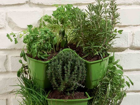 Conjunto De Cesta De Hierbas De Jardin Vertical Zoom 5