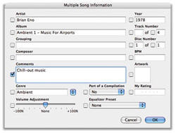 Cómo administrar una gran biblioteca de iTunes