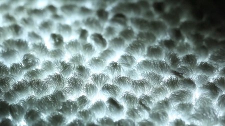 Desso y Philips nos traerán las alfombras del futuro