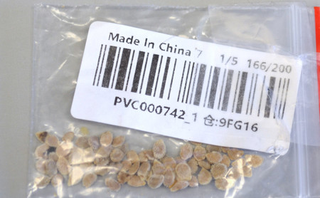Qué es el 'brushing', la práctica por la que nos pueden enviar paquetes de semillas de China sin haberlos pedido