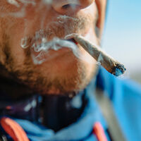 Se você acha que a cannabis na juventude é inofensiva, a ciência tem algo a lhe dizer: ela dobra os riscos para o cérebro 