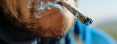 Se você acha que a cannabis na juventude é inofensiva, a ciência tem algo a lhe dizer: ela dobra os riscos para o cérebro 