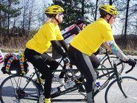 Organizaciones colaborativas