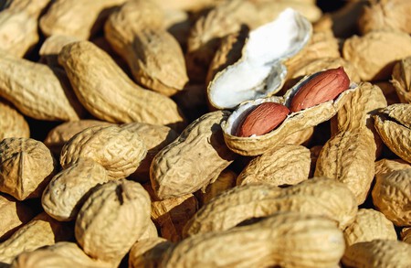 Jumpstory Download20230606 135614