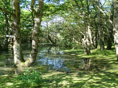 Lac Du Der 2