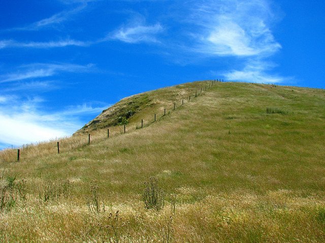 campoycielo.jpg