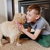 Un niño de siete años encuentra en una perrita sin una pata a su mejor compañera de juegos: él también lleva una prótesis