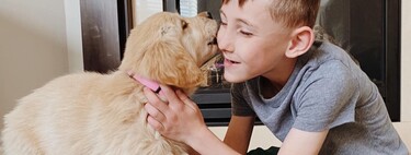 Un niño de siete años encuentra en una perrita sin una pata a su mejor compañera de juegos: él también lleva una prótesis