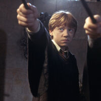 Ron se va a entregar una carta en el minuto 2:18:37 de Harry Potter y la Cámara Secreta, ¿alguna vez has pensado en todo lo que tuvo que andar?