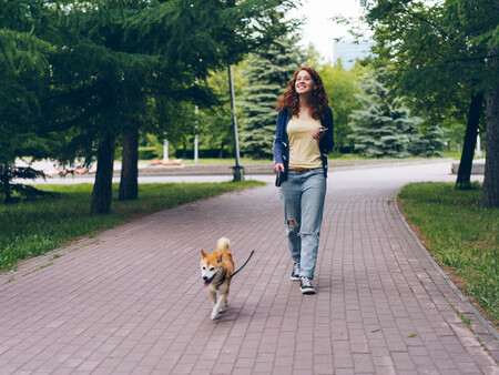 Cuidado Pasear Perros