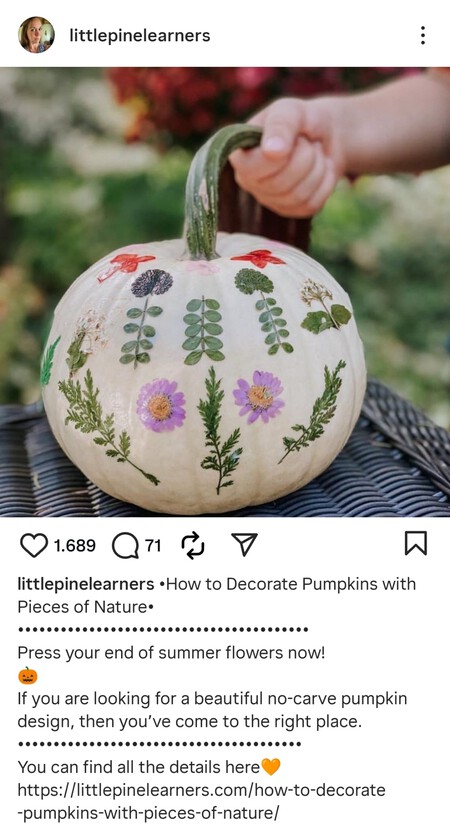 Whatsapp Image 2025 11 11 At 19 05 51