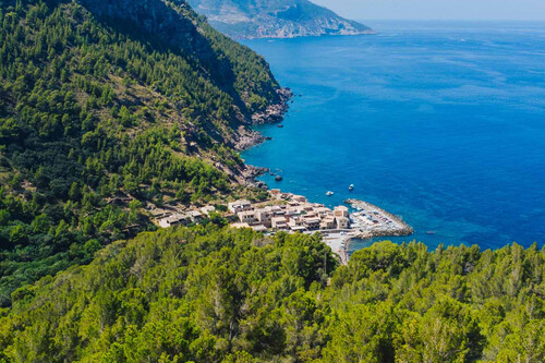 Valldemossa