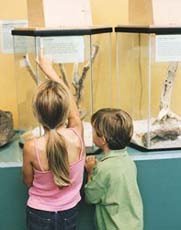 Los museos, un buen paseo para los niños