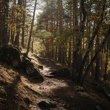 Parece sacada de una romantasy pero es real: la ruta de senderismo a una hora de Madrid que hago cada otoño