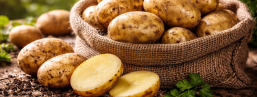 Sementes da história: como povos antigos carregaram uma batata selvagem pelo sudoeste americano e a espalharam por todo o continente 