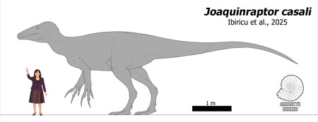 Joaquinraptor