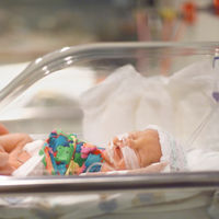 Nuevos hallazgos científicos podrían prevenir en un futuro un gran porcentaje de nacimientos prematuros