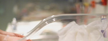 Nuevos hallazgos científicos podrían prevenir en un futuro un gran porcentaje de nacimientos prematuros