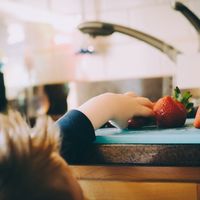 Calculadora: cómo saber si tu hijo consume los nutrientes recomendados 