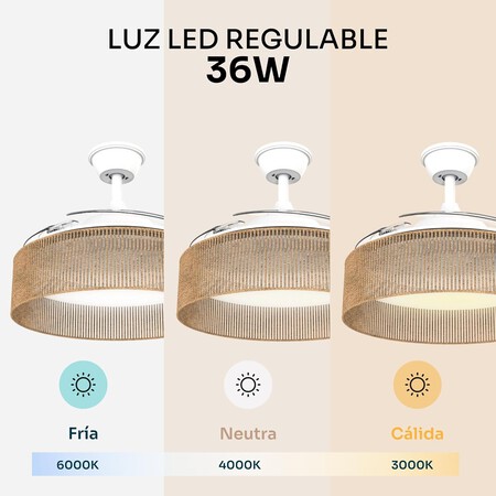 Ventilador de techo