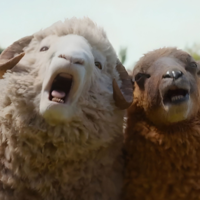 Tiene un 94% en Rotten Tomatoes, va de ovejas que hablan, y ya es la película más recomendada de Hugh Jackman