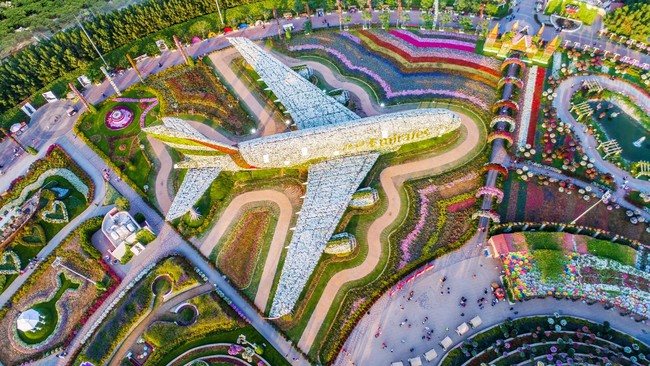 Dubai Miracle Garden 6