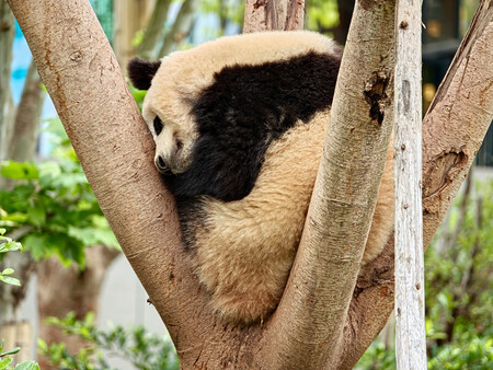 Oppo Find X9 Ultra 46