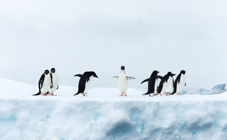 31 distribuciones Linux para elegir bien la que más necesitas