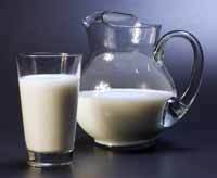 Conclusiones en estudios sobre la ingestión de leche en adultos