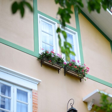 La planta de Lidl que llena de color tu terraza o balcón por menos de 4 euros