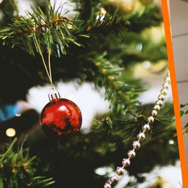 El mejor truco para evitar que tu Árbol de Navidad huela feo al guardarlo: solo necesitas un ingrediente de tu cocina