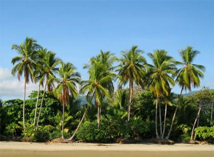 Costa Rica 2