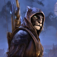 Si has jugado a The Elder Scrolls desde 2002, has visto su trabajo. Tras 27 años, XBOX la ha despedido aunque pensaba "jubilarse en Bethesda" 