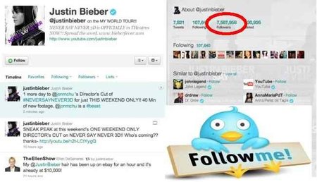 Sanson Bieber, vende pelo y compra followers