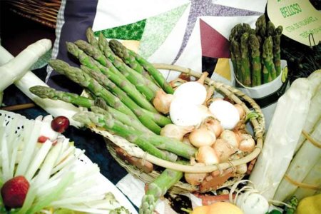 Esparragos blancos o espárragos trigueros