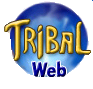 Crea tu red privada para compartir archivos con Tribalweb