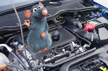 RATAS1