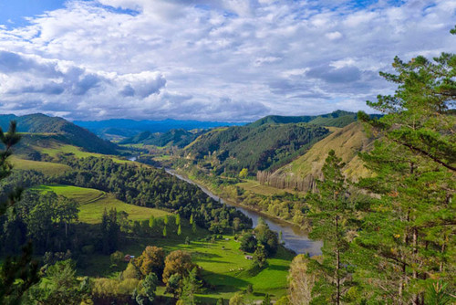 La carretera al pasado de Nueva Zelanda: Whanganui River Road