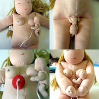 Muñecas embarazadas y de parto