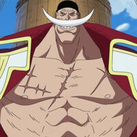 ¿Por qué Barbablanca tiene un pañuelo en su cabeza? La respuesta del autor de One Piece es simple, pero entiendo a Shirohige a la perfección 