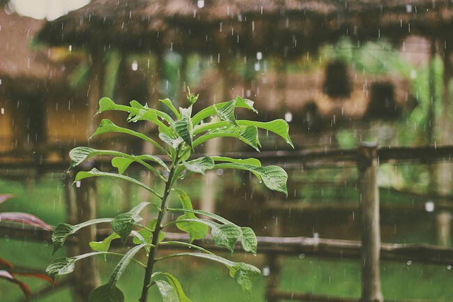 lluvia