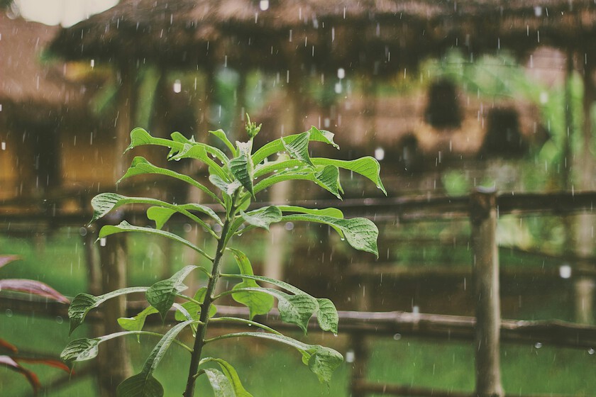 lluvia