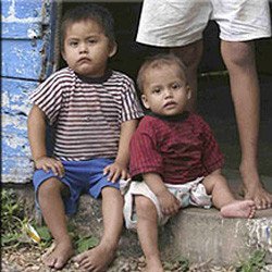 Unos 200 millones de niños menores de cinco años no alcanzan su nivel de desarrollo cognitivo