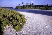 Kiribati, un archipiélago menguante