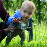 Uno de cada dos bebés va a desarrollar algún tipo de alergia: consejos para reducir el riesgo