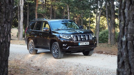 Toyota Land Cruiser Limited 8