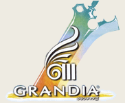 Grandia III confirmado