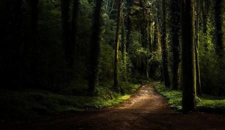 Recorrer el Parque Natural de Sintra-Cascais en 4x4 